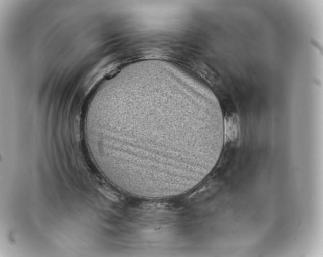 X0000097790291200803211827