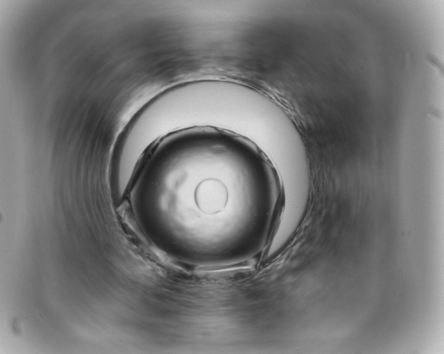 X0000097790292200803211827