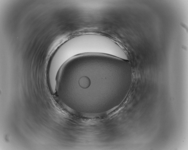 X0000097790293200803211827