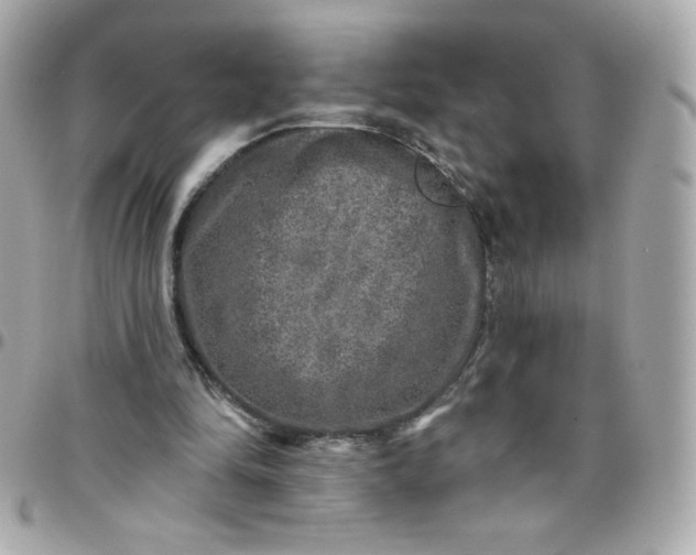 X0000097790294200803211827