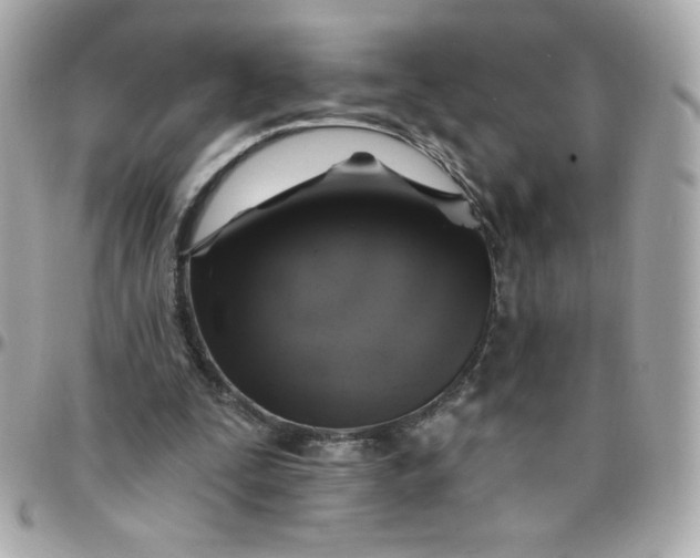 X0000097790295200803211827