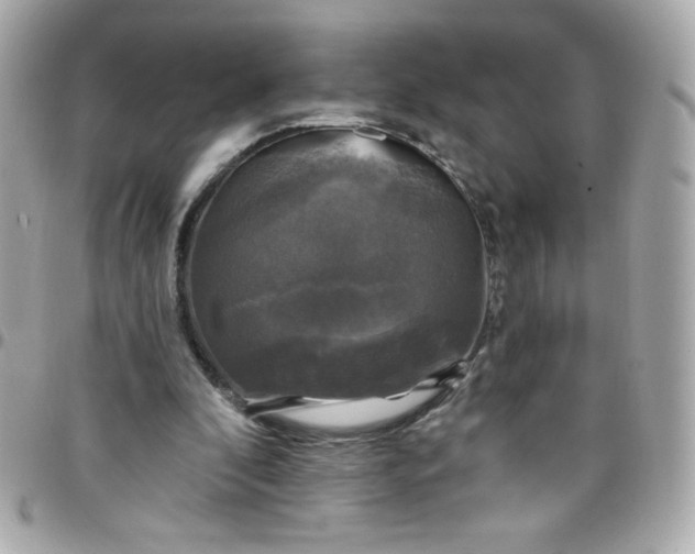 X0000097790296200803211827