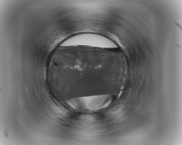 X0000097790299200803211827