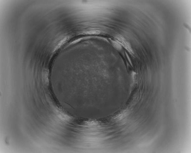 X0000097790300200803211827