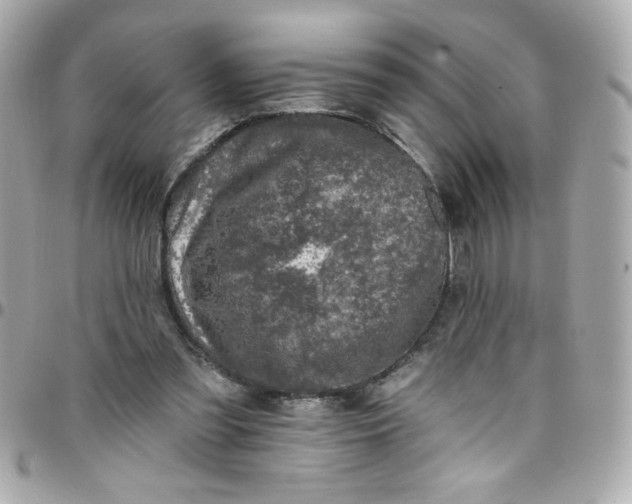 X0000097790301200803211827