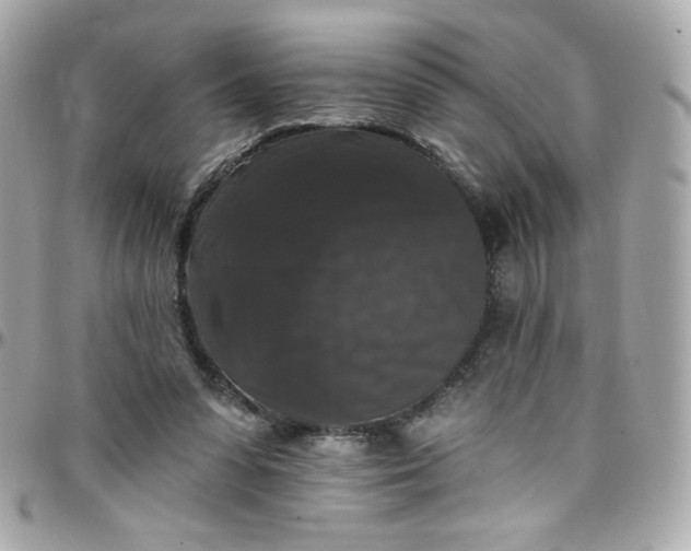 X0000097790303200803211827