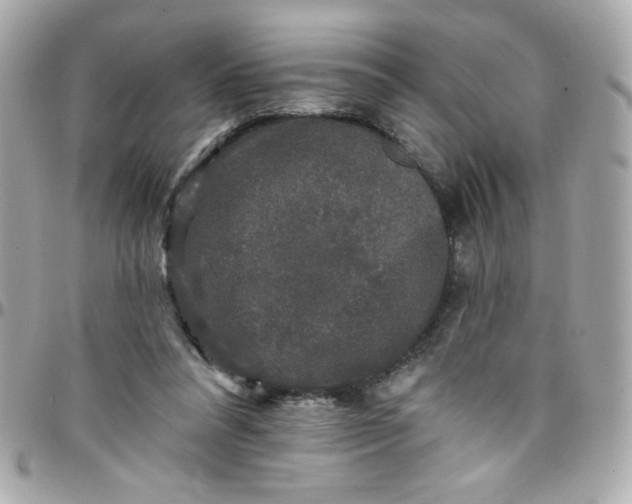 X0000097790304200803211827