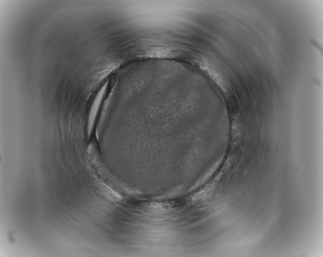 X0000097790305200803211827