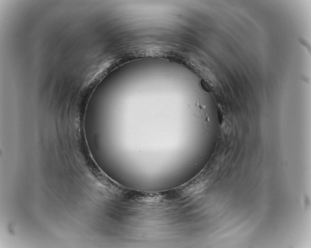 X0000097790306200803211827