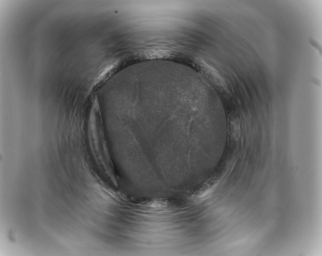 X0000097790308200803211827