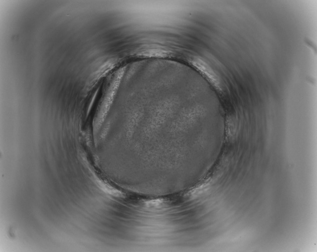 X0000097790309200803211827