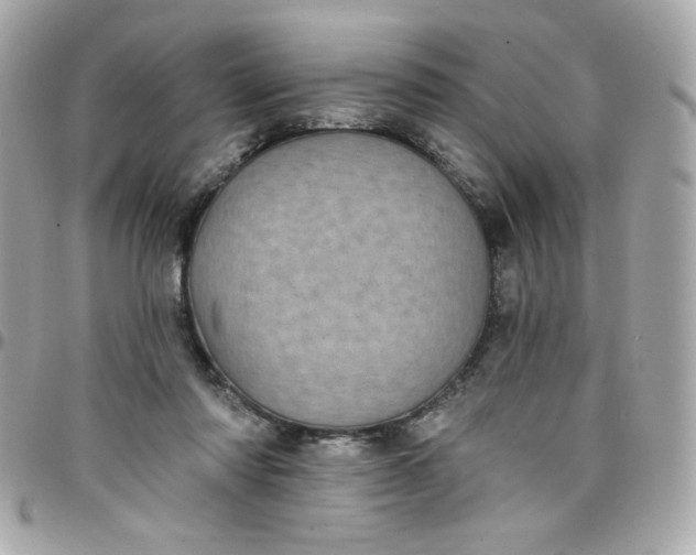 X0000097790310200803211827