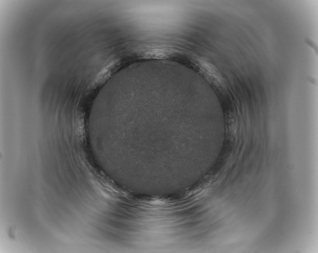 X0000097790312200803211827