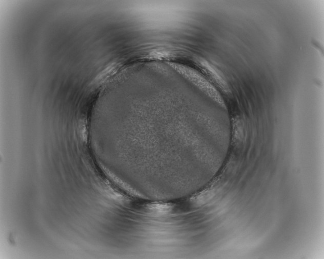 X0000097790313200803211826