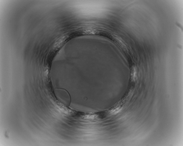 X0000097790314200803211826