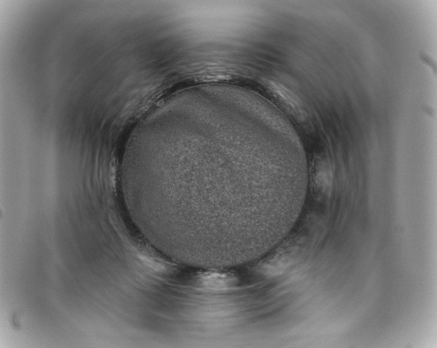 X0000097790315200803211826