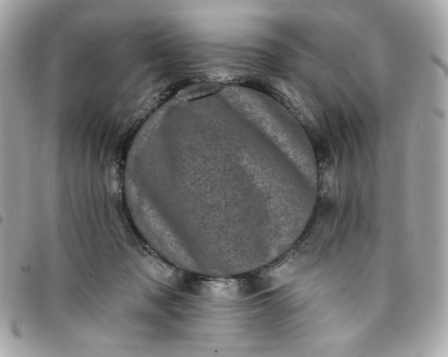 X0000097790317200803211826