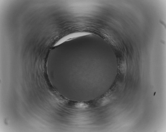 X0000097790319200803211826