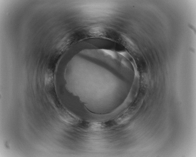 X0000097790320200803211826