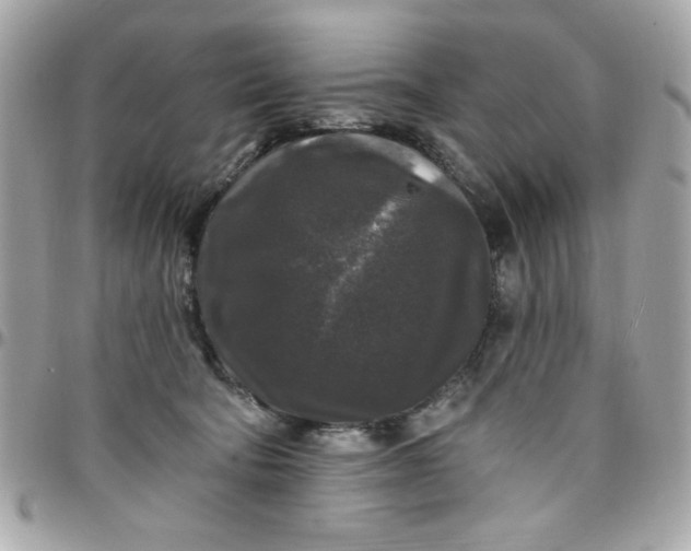 X0000097790322200803211826
