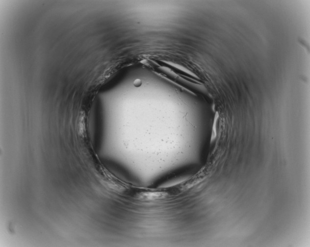 X0000097790323200803211826
