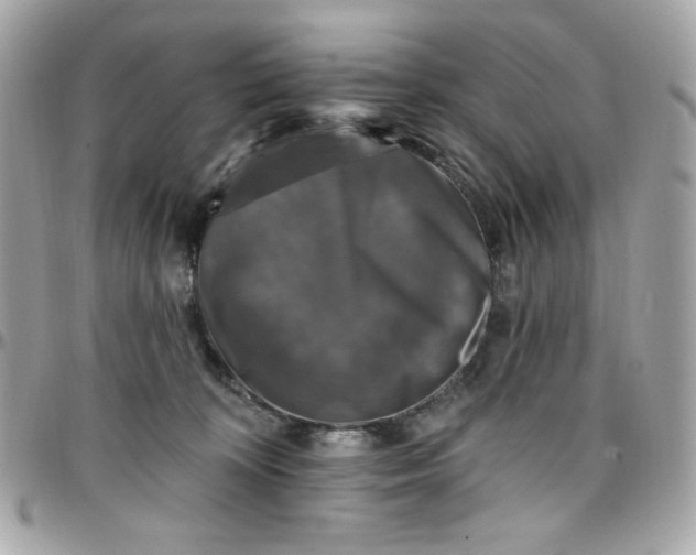 X0000097790324200803211826