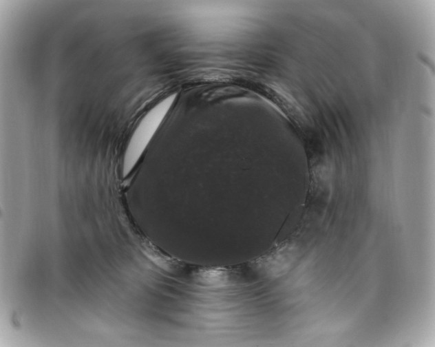 X0000097790325200803211826