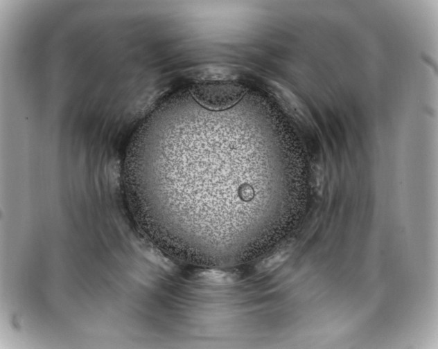 X0000097790326200803211826