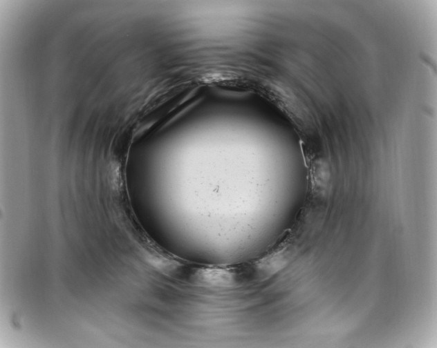 X0000097790327200803211826