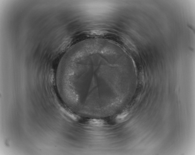 X0000097790328200803211826