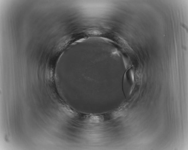 X0000097790330200803211826