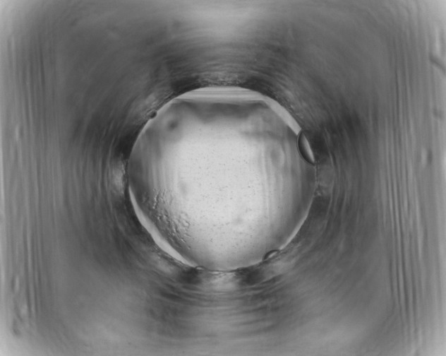 X0000097790334200803211826