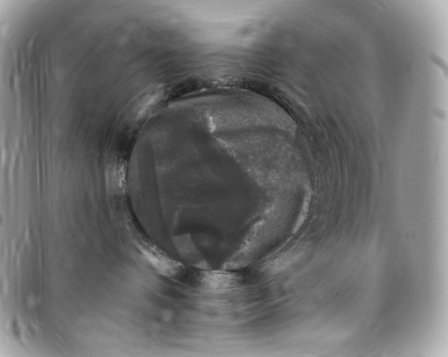 X0000097790336200803211826
