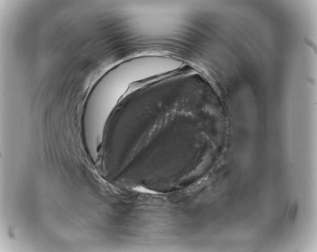 X0000097790337200803211826