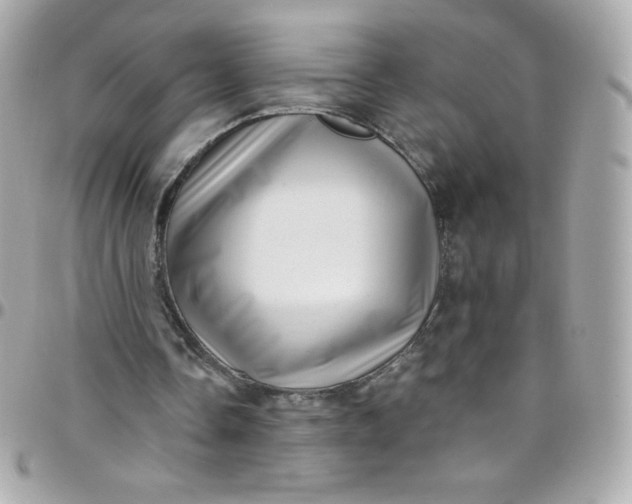 X0000097790338200803211826