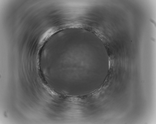 X0000097790339200803211826