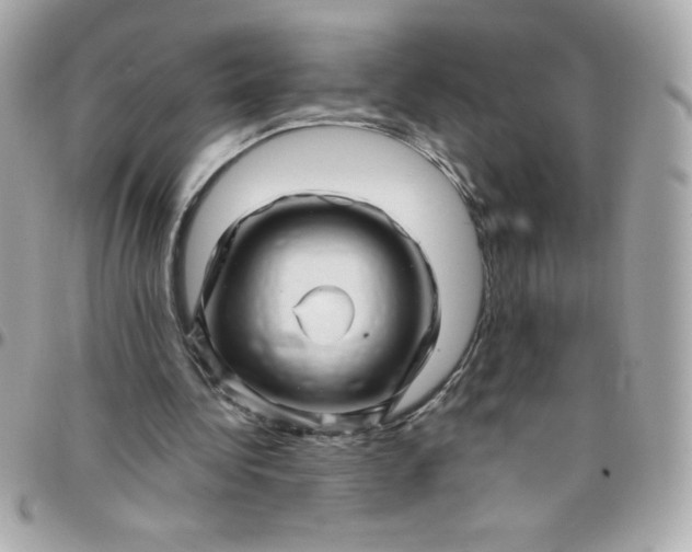 X0000097790340200803211826