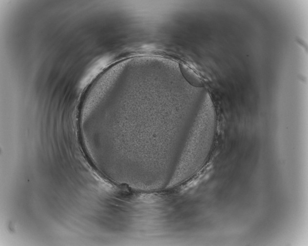 X0000097790341200803211826