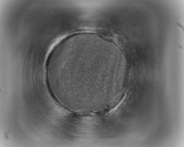 X0000097790342200803211826