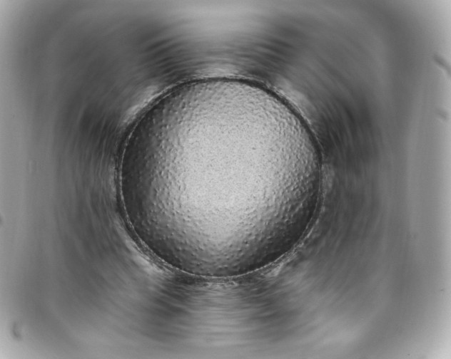 X0000097790345200803211826