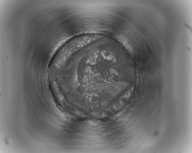 X0000097790346200803211826