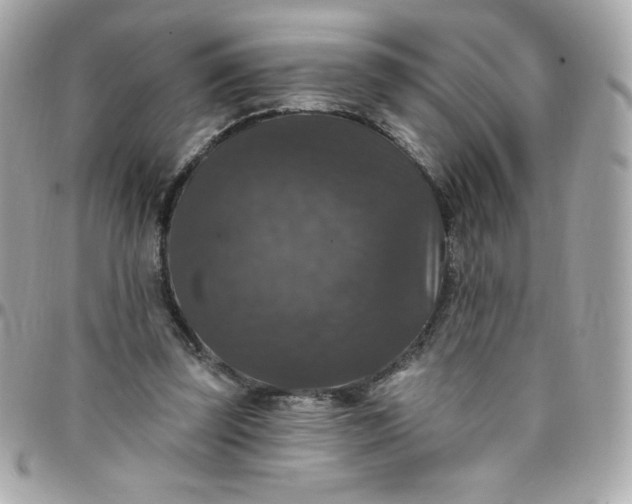 X0000097790347200803211826