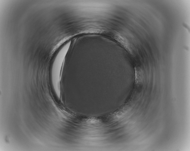 X0000097790348200803211826