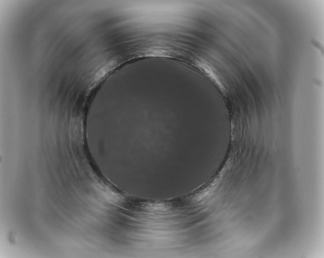 X0000097790349200803211826