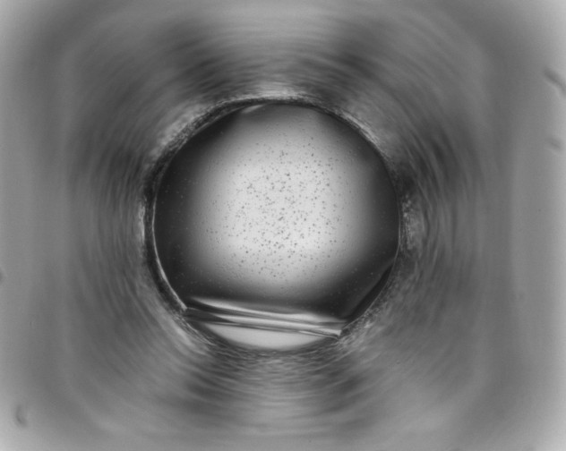 X0000097790350200803211826