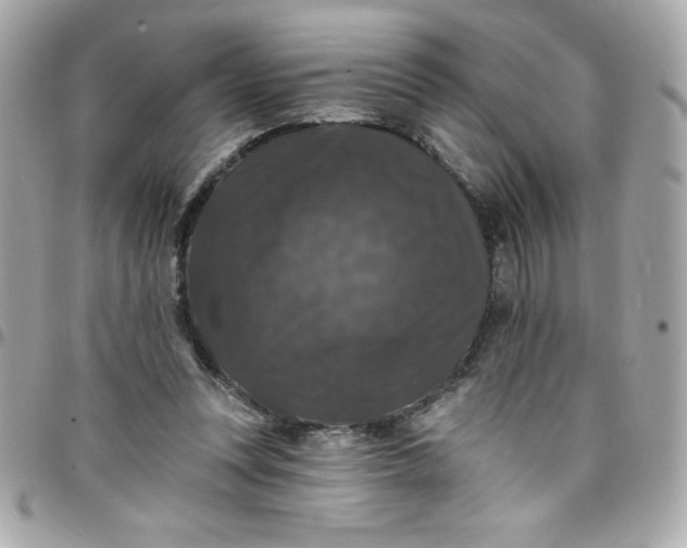 X0000097790351200803211826
