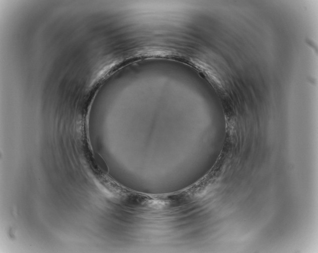 X0000097790352200803211826