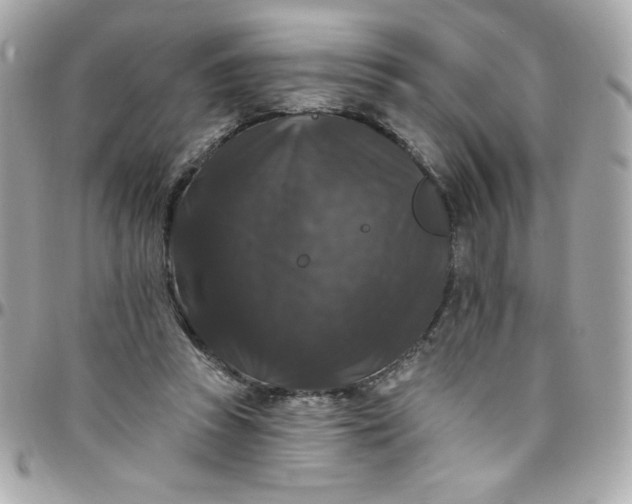X0000097790353200803211826