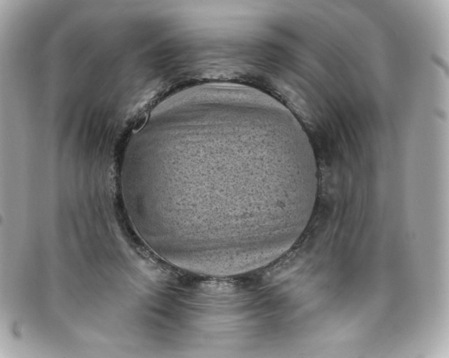 X0000097790354200803211826