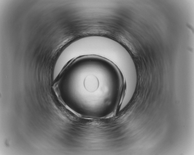 X0000097790356200803211826